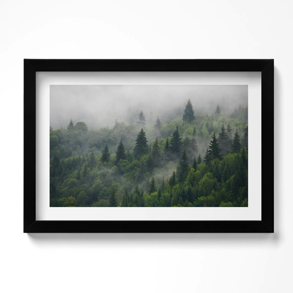 Tablou living cu rama original Peisaj de pădure în ceață