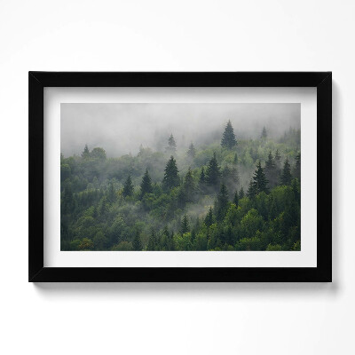 Tablou living cu rama original Peisaj de pădure în ceață