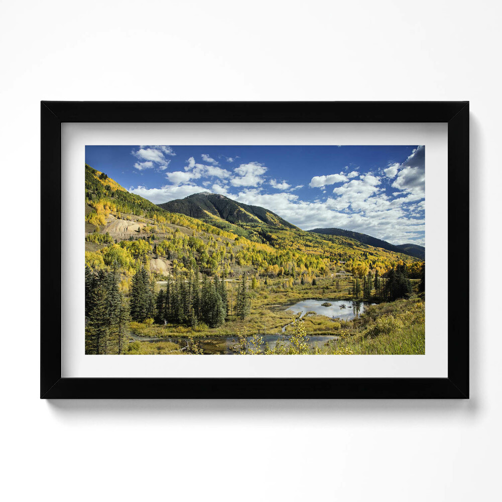 Tablou rama original Peisaj montan cu vegetație