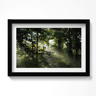 Tablou rama original Razele soarelui și copacii