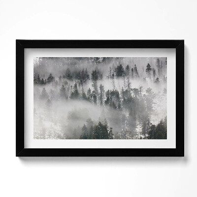 Tablou living cu rama original Peisaj de pădure cețos