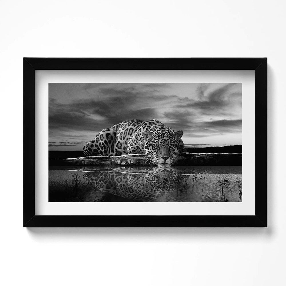 Tablou living cu rama original Leopard alb-negru animal sălbatic