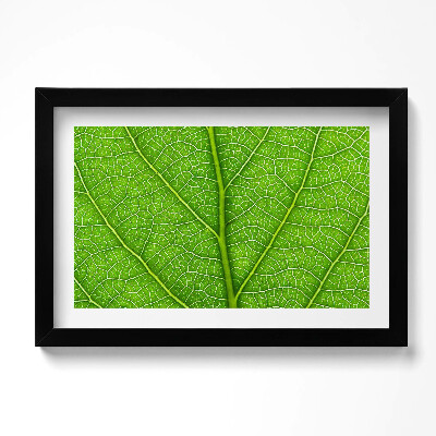 Tablou living cu rama original Venele frunzelor verzi