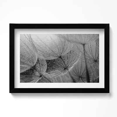 Tablou living cu rama original Prim-plan alb-negru al unei păpădii