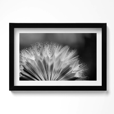 Tablou rama original Prim-plan alb-negru al unei păpădii