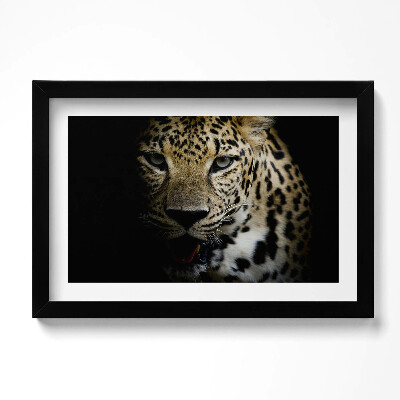 Tablou living cu rama original Tigru sălbatic în negru