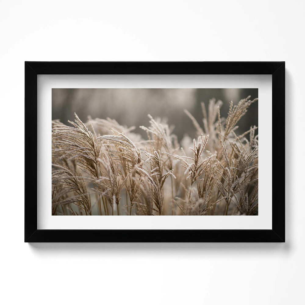 Tablou rama original Ierburi delicate Boho