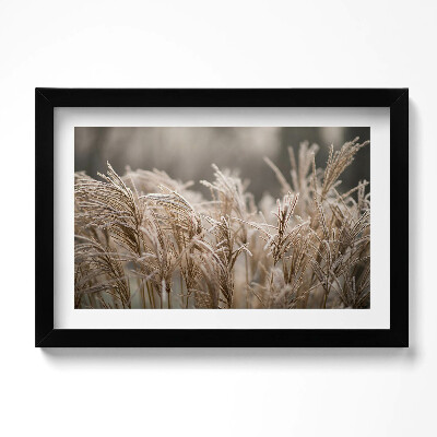 Tablou rama original Ierburi delicate Boho