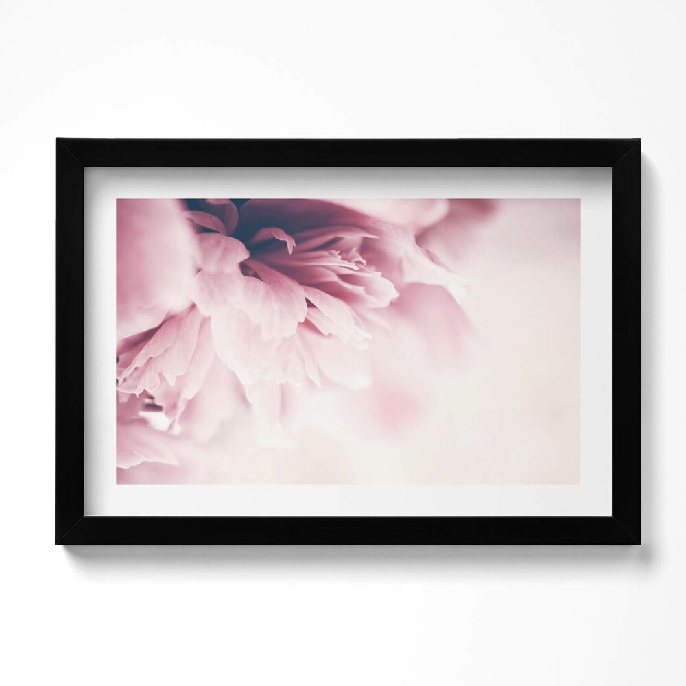 Tablou living cu rama original Prim-plan al petalelor de bujor