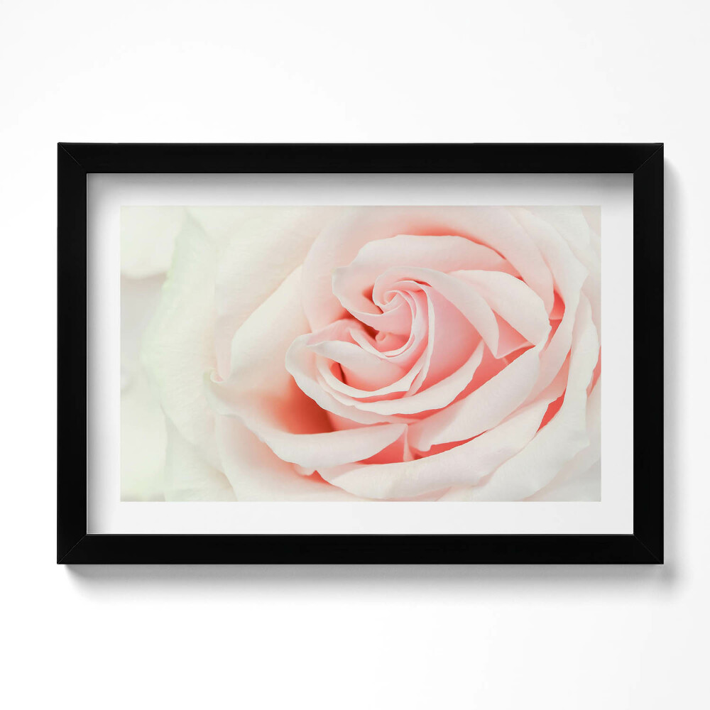 Tablou rama original Prim-plan al petalelor de trandafir