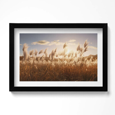 Tablou rama original Apus de soare romantic peste iarbă