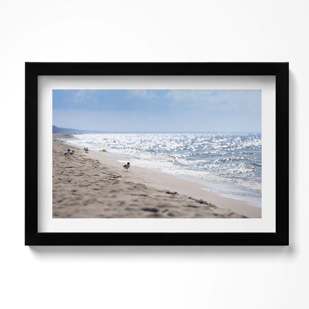 Tablou rama original Valurile mării și o pasăre pe plajă