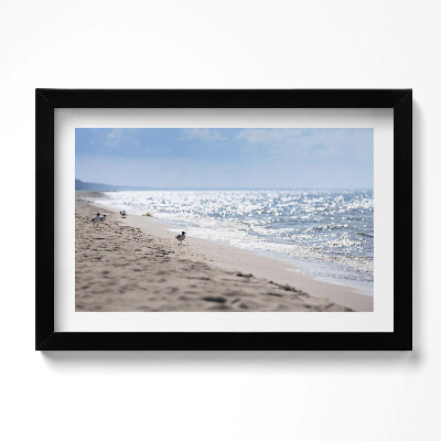 Tablou rama original Valurile mării și o pasăre pe plajă