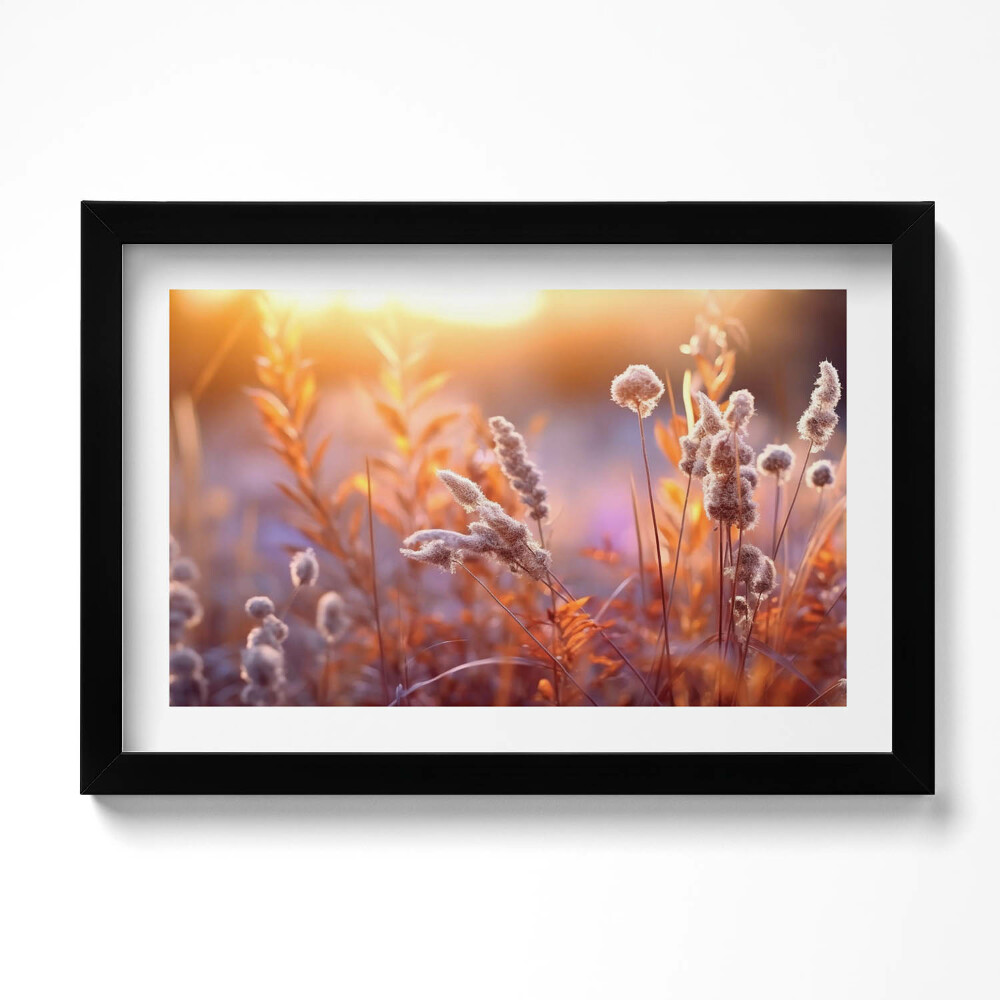 Tablou rama original Iarbă boho la răsărit