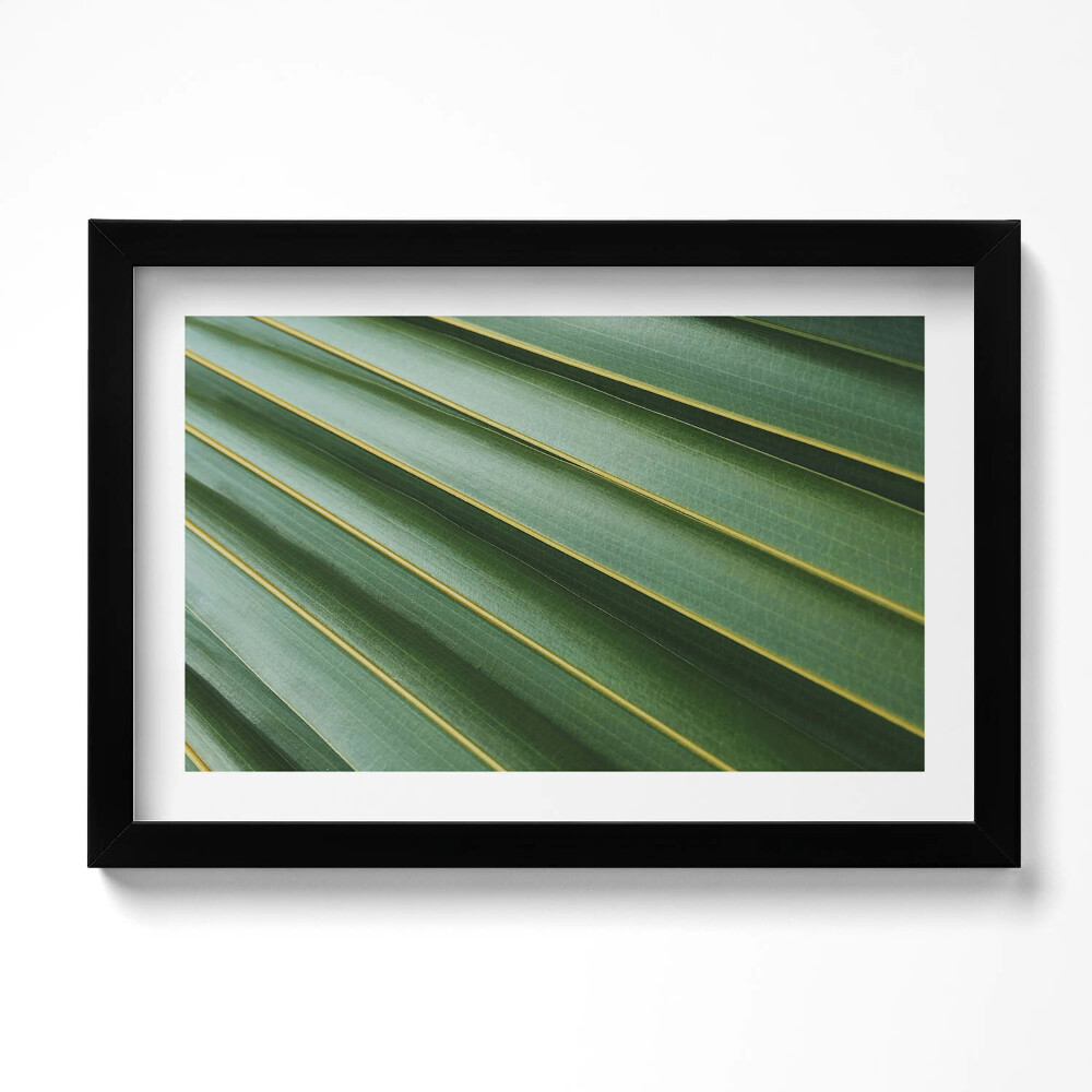 Tablou living cu rama original Textură de plantă verde