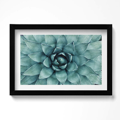 Tablou living cu rama original Plantă suculentă verde