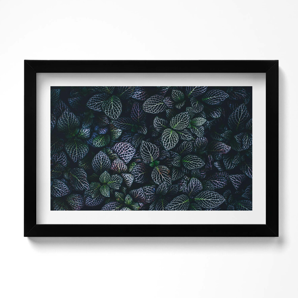 Tablou rama original Frunze sălbatice întunecate