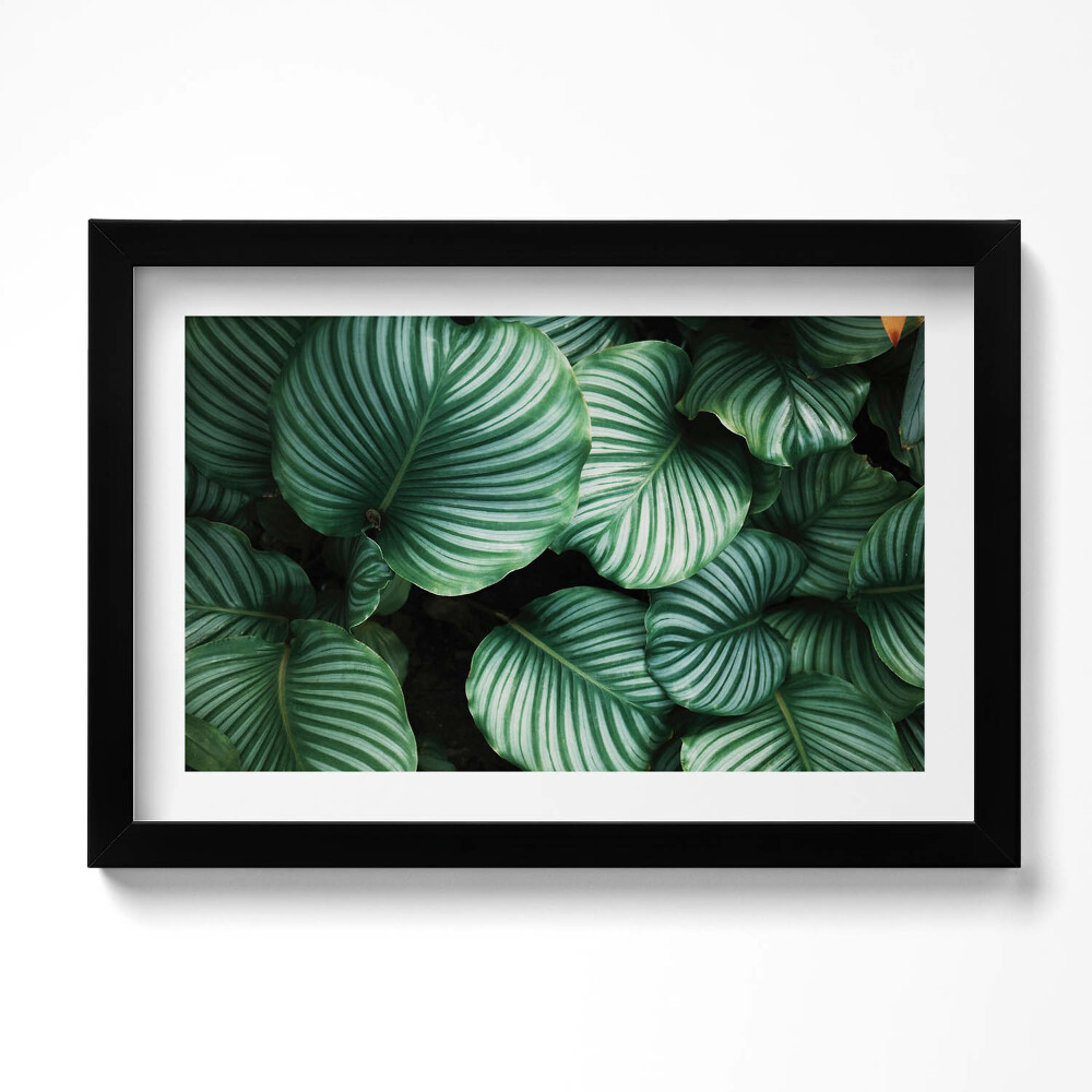 Tablou rama original Frunze mari și verzi