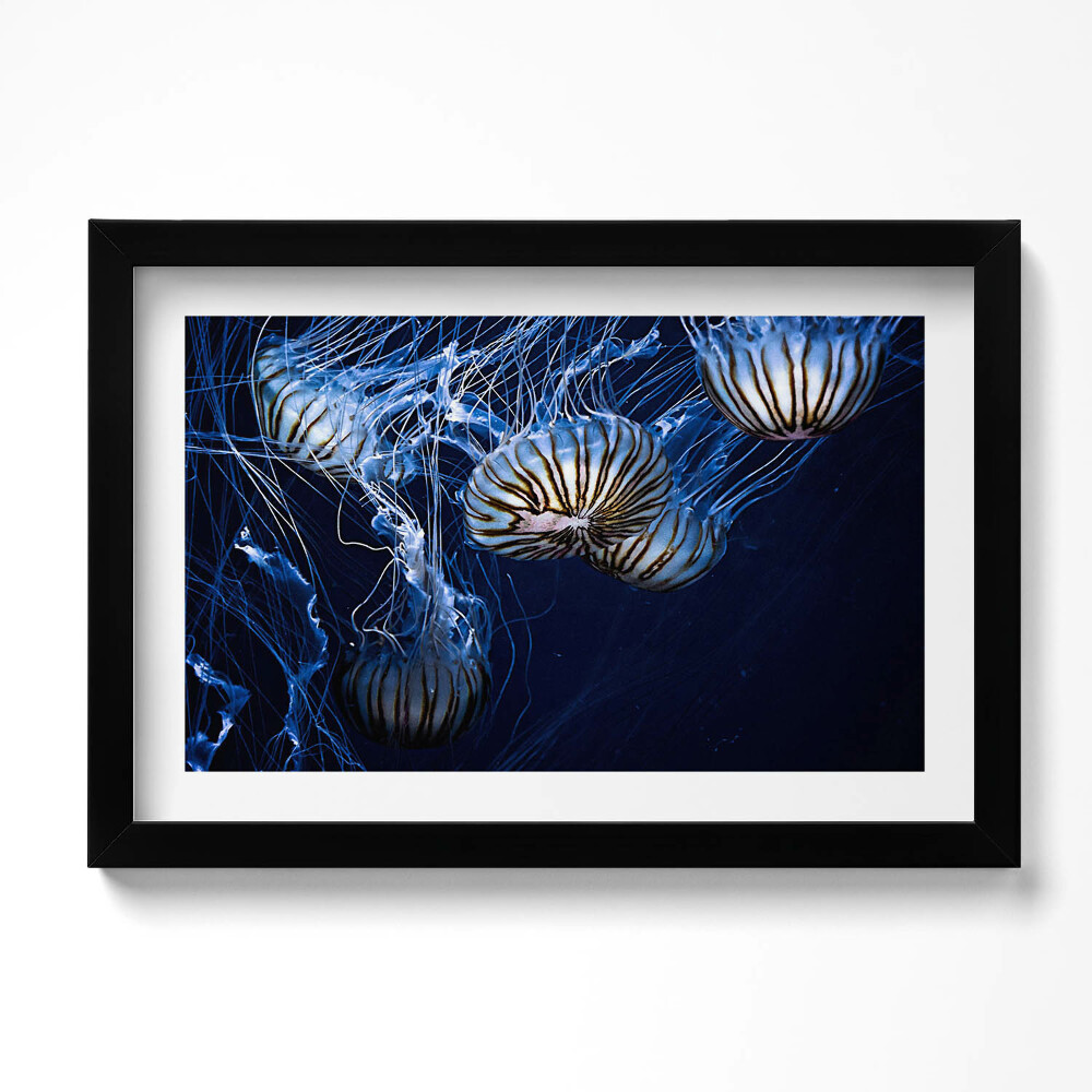 Tablou rama original Meduze albastre în apă