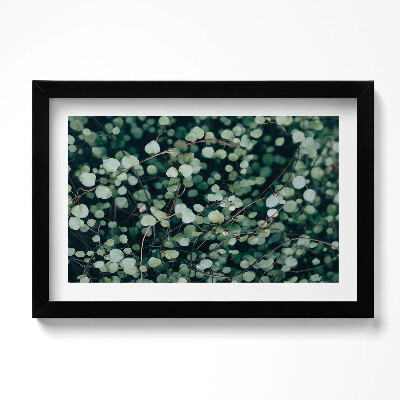 Tablou living cu rama original Frunzele mici ale plantei