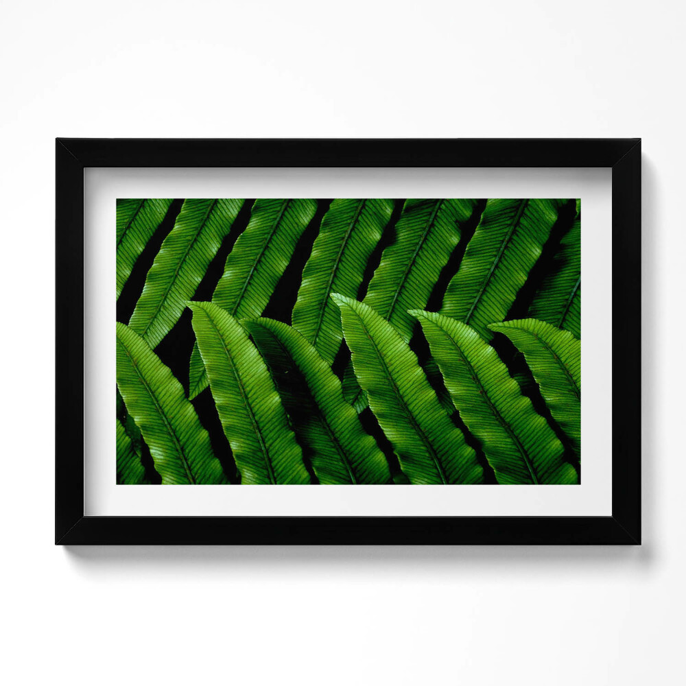 Tablou living cu rama original Frunze verzi de aproape