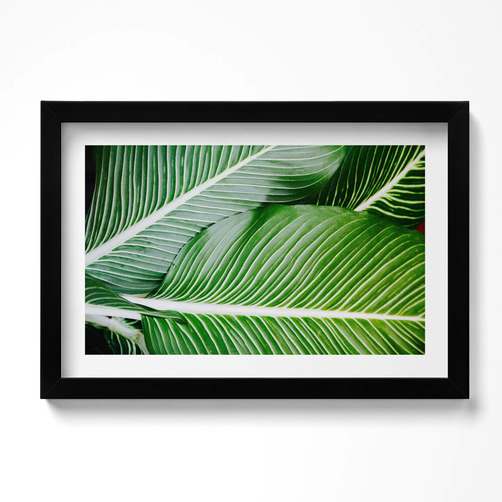 Tablou living cu rama original Frunze verzi exotice