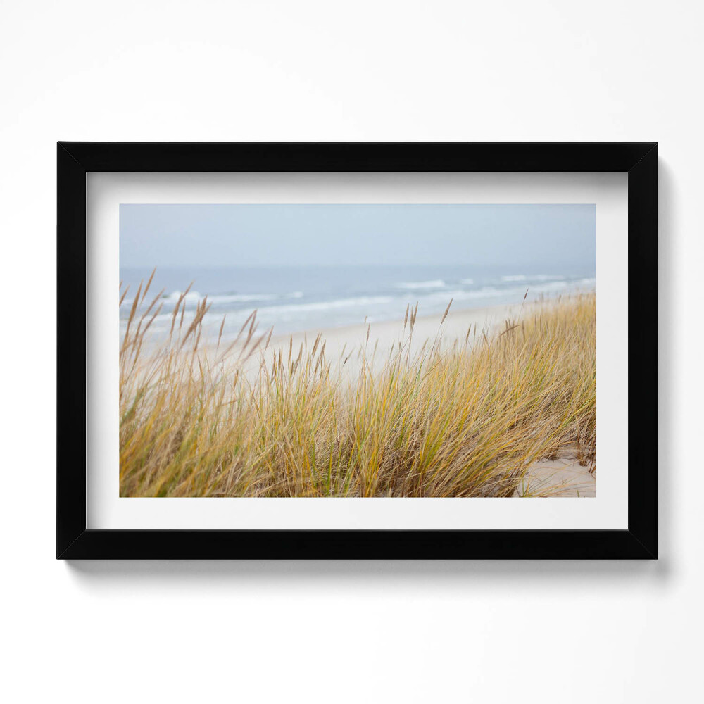 Tablou rama original Peisaj de plajă și iarbă de pe malul mării