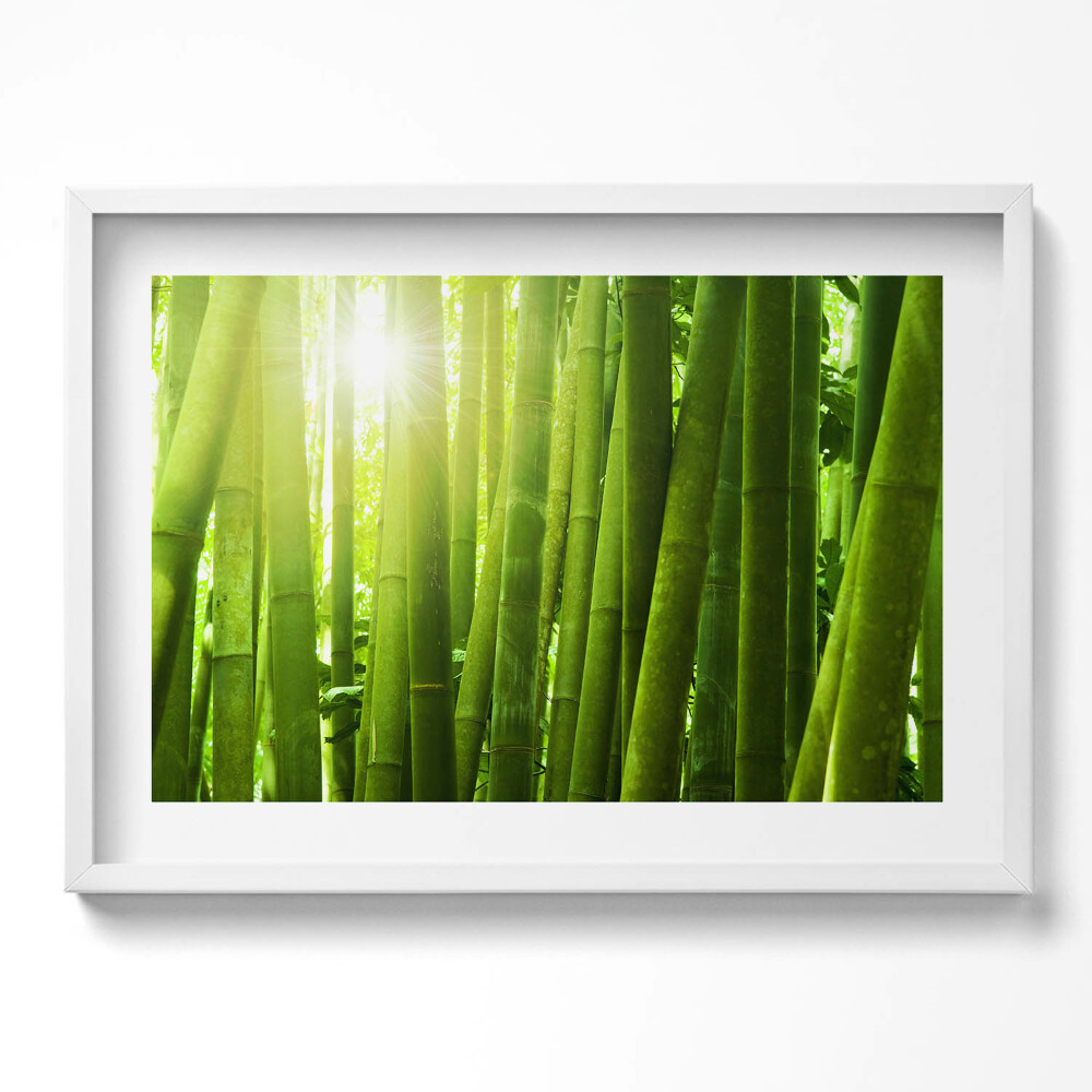 Tablou living cu rama excepţional Tulpini verzi de bambus