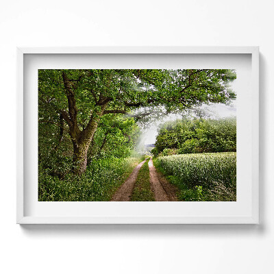 Tablou living cu rama excepţional Cale, copaci și raze de soare