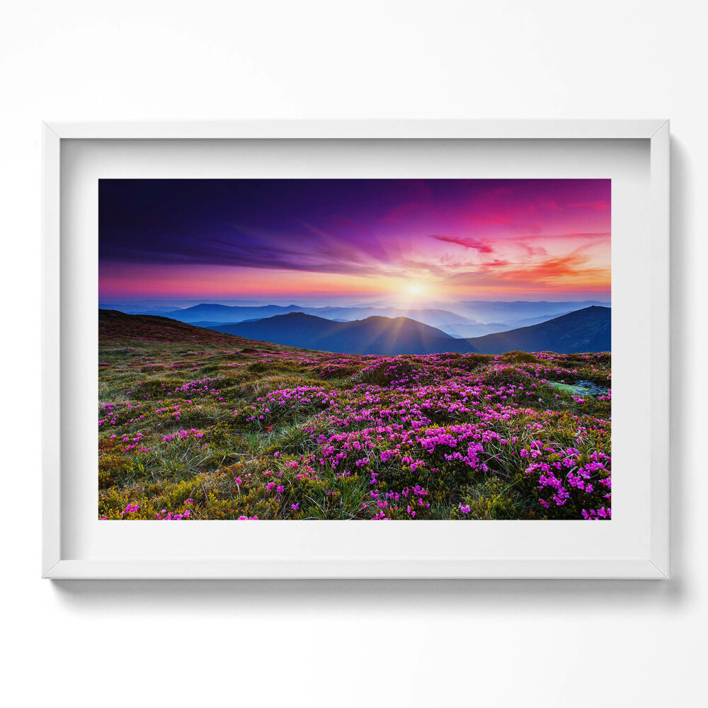 Tablou living cu rama excepţional Flori de răsărit