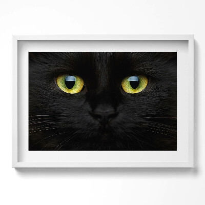 Tablou living cu rama excepţional Ochi de pisică animale