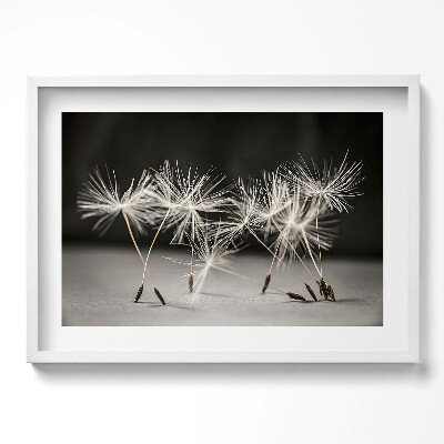 Tablou rama excepţional Polen delicat de păpădie