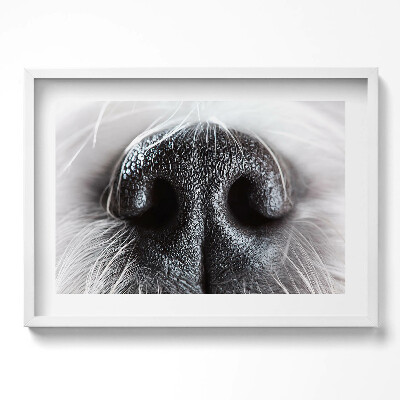 Tablou rama excepţional Prim-plan al nasului unui animal