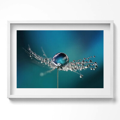 Tablou living cu rama excepţional O picătură de rouă pe o păpădie