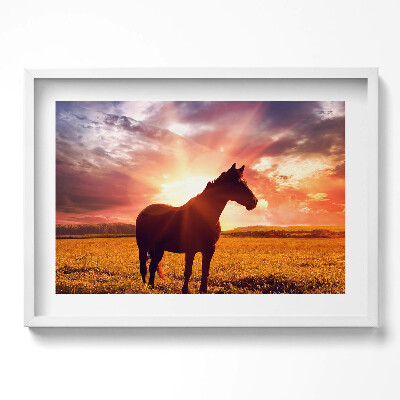 Tablou rama excepţional Un cal pe un câmp la apus