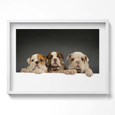 Tablou rama excepţional Trei căței de câine