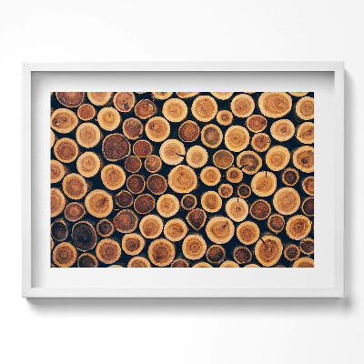 Tablou living cu rama excepţional Lemn, cioturi de copaci