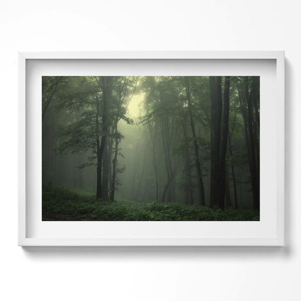 Tablou living cu rama excepţional Pădurea încețoșată dimineața