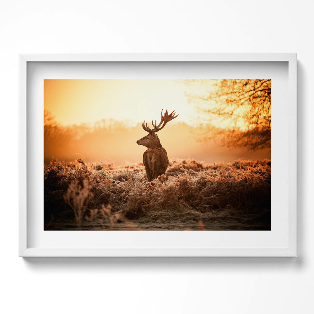 Tablou rama excepţional Cerb la răsărit