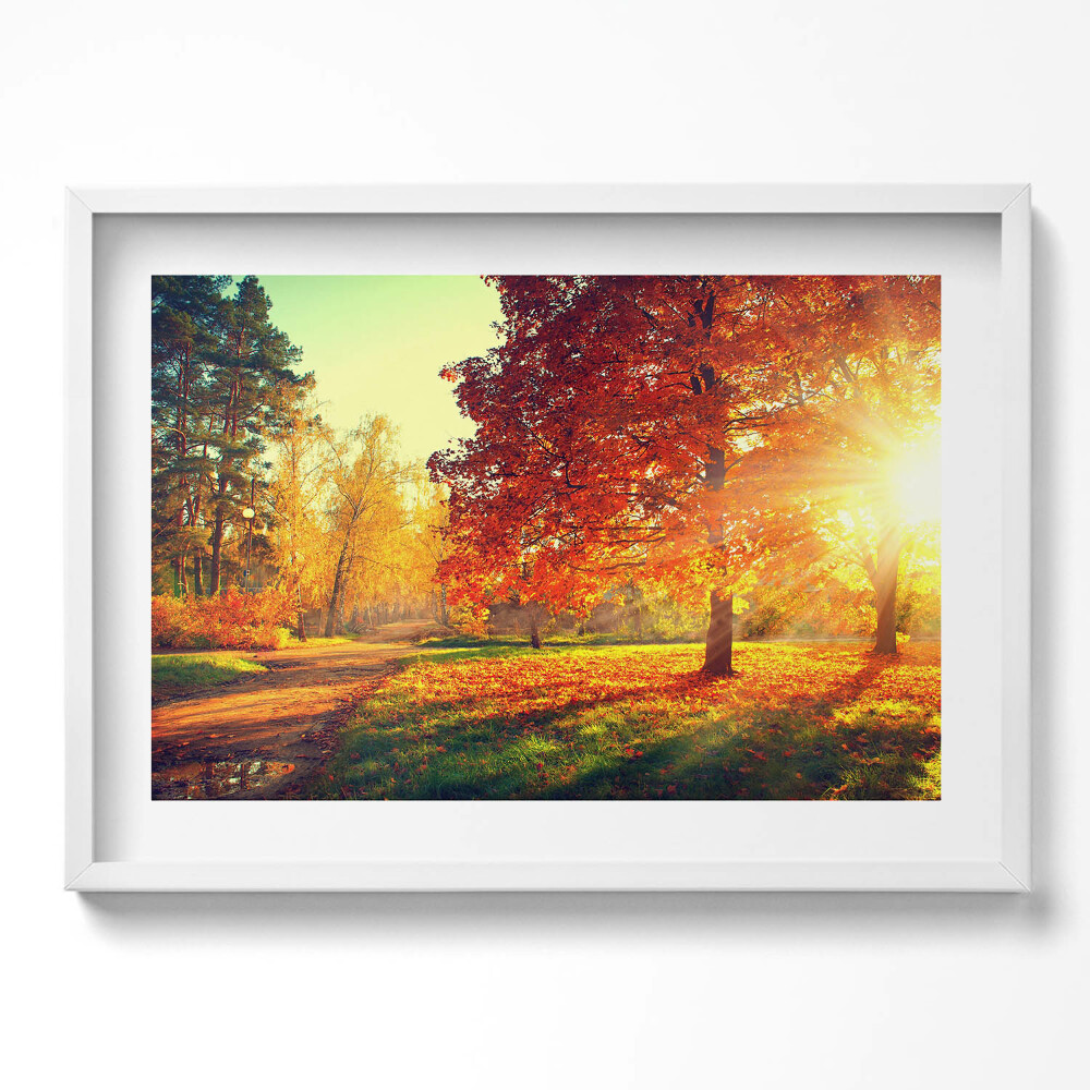 Tablou living cu rama excepţional Parc de toamnă