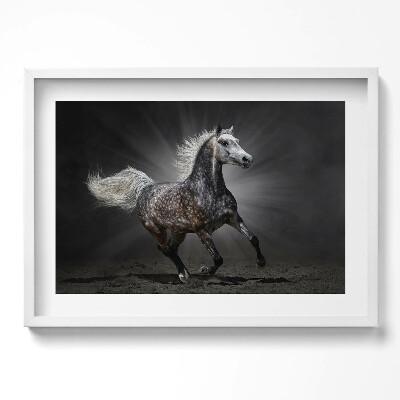 Tablou living cu rama excepţional Calul galopant