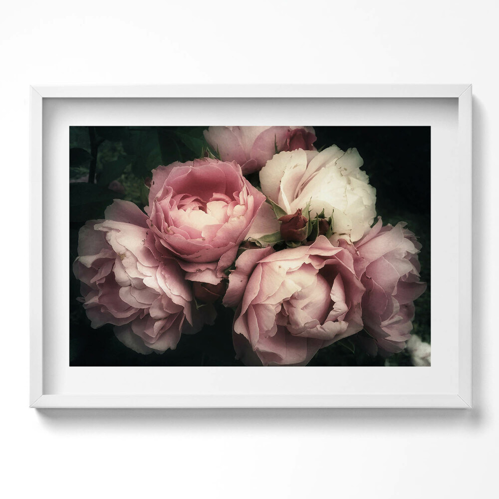 Tablou rama excepţional buchet de trandafiri roz vintage