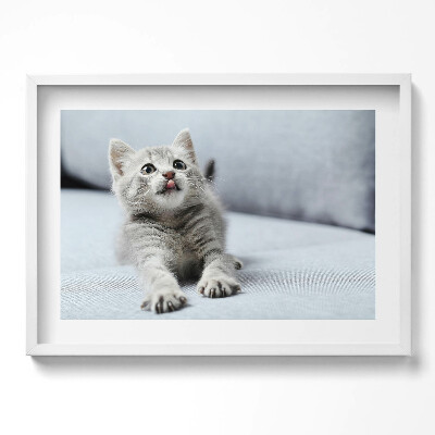 Tablou rama excepţional Pisicuță adorabilă pe canapea