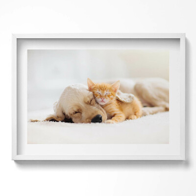 Tablou living cu rama excepţional Animale care dorm, pisică și câine