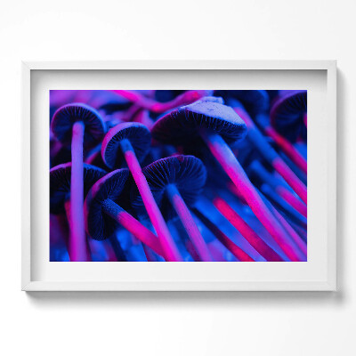 Tablou living cu rama excepţional Ciuperci magice colorate