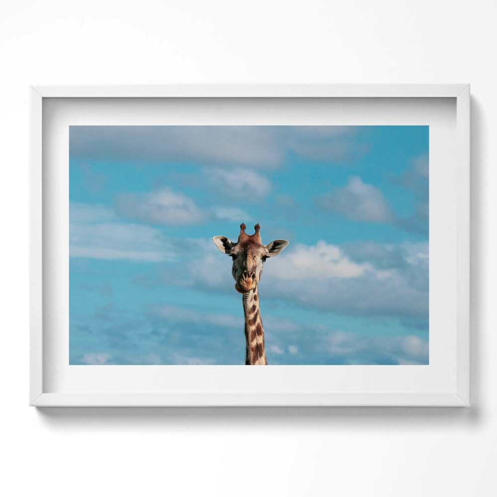 Tablou rama excepţional Cap de girafă pe cer