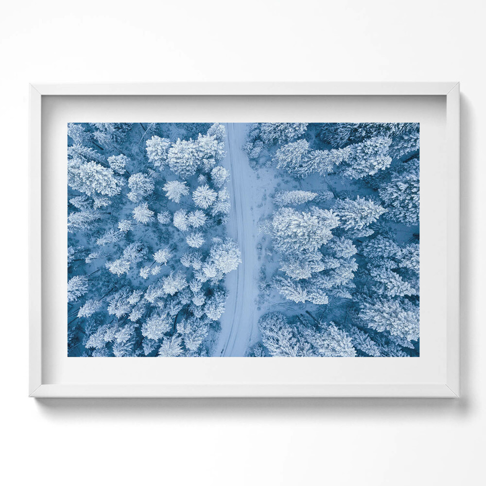 Tablou living cu rama excepţional Pădurea din vedere dinspre o pasăre, cu dronă