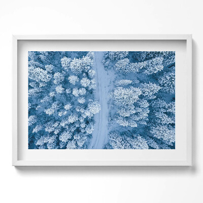 Tablou living cu rama excepţional Pădurea din vedere dinspre o pasăre, cu dronă