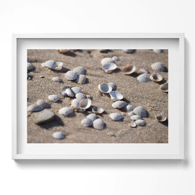 Tablou living cu rama excepţional Scoici pe plajă