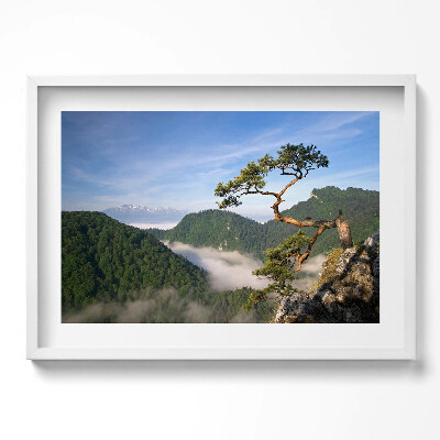 Tablou rama excepţional Vârful Sokolica din Munții Pieniny